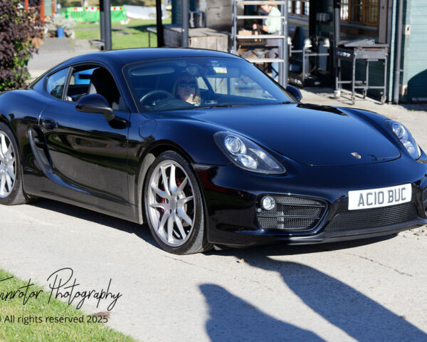 Porsche in the Park
