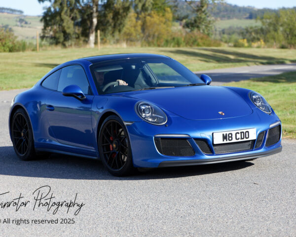 Porsche in the Park