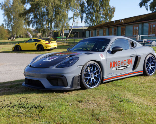 Porsche in the Park