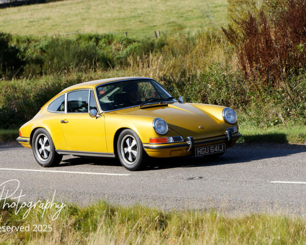 Porsche in the Park