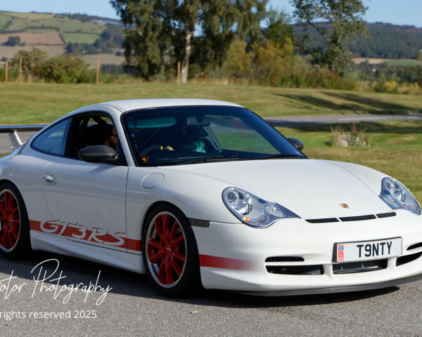 Porsche in the Park