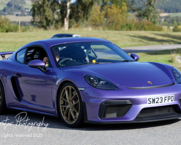 Porsche in the Park