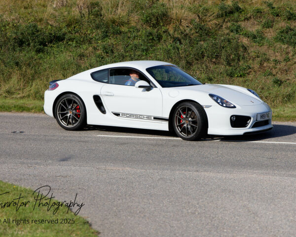 Porsche in the Park