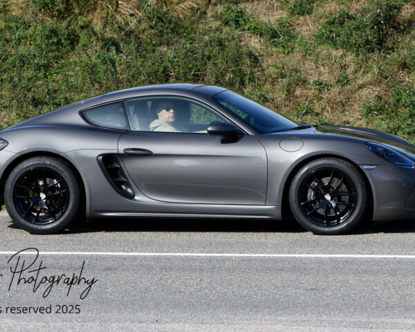 Porsche in the Park