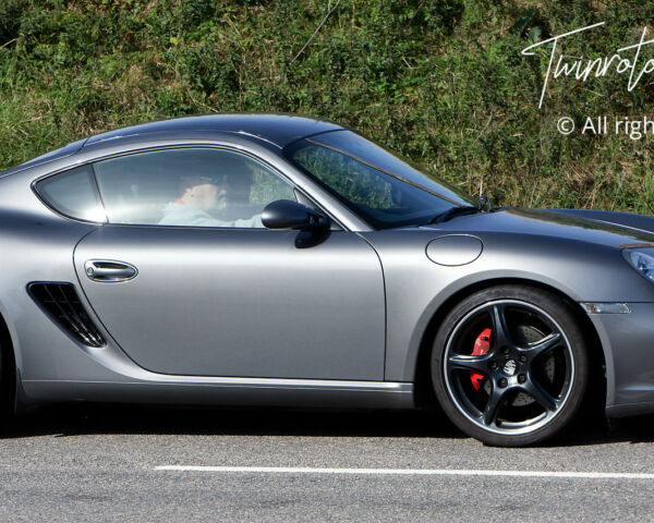 Porsche in the Park