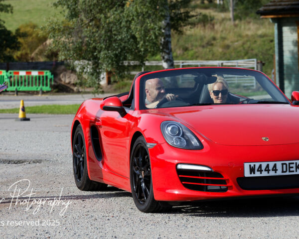 Porsche in the Park