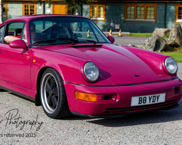 Porsche in the Park