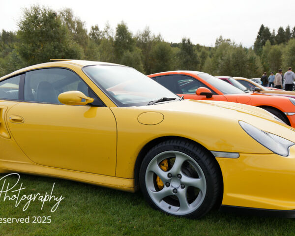 Porsche in the Park