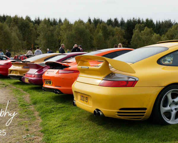 Porsche in the Park