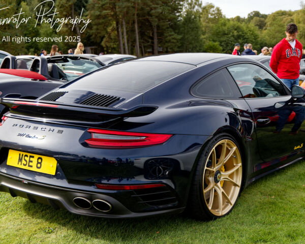 Porsche in the Park