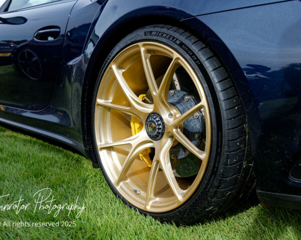 Porsche in the Park