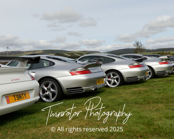 Porsche in the Park