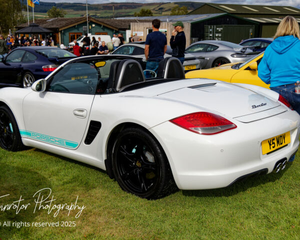 Porsche in the Park