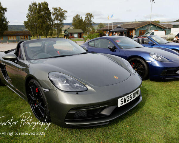 Porsche in the Park