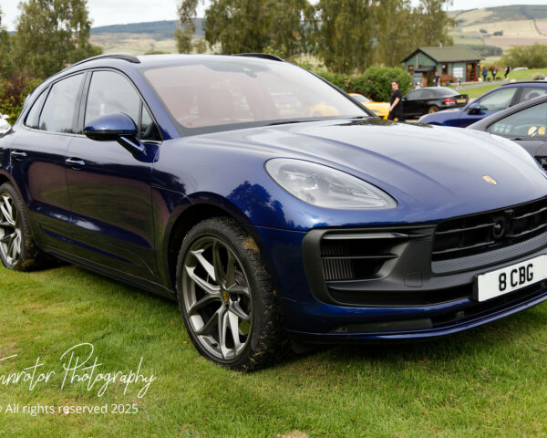 Porsche in the Park