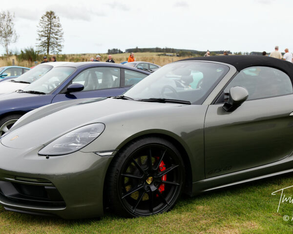 Porsche in the Park