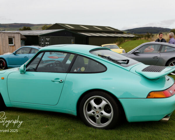 Porsche in the Park