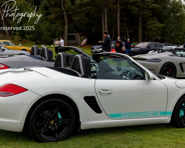 Porsche in the Park