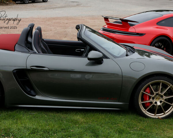 Porsche in the Park