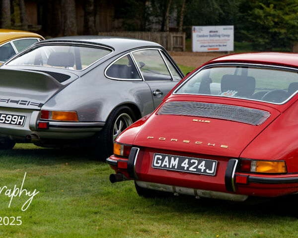 Porsche in the Park