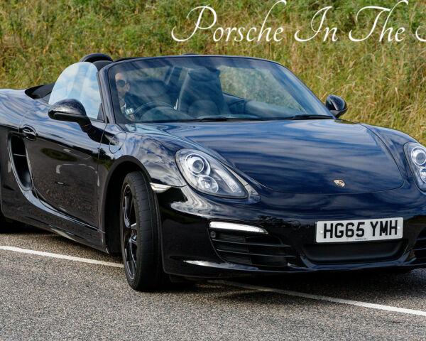 Porsche in the Park