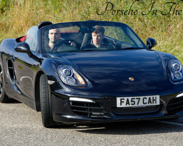 Porsche in the Park