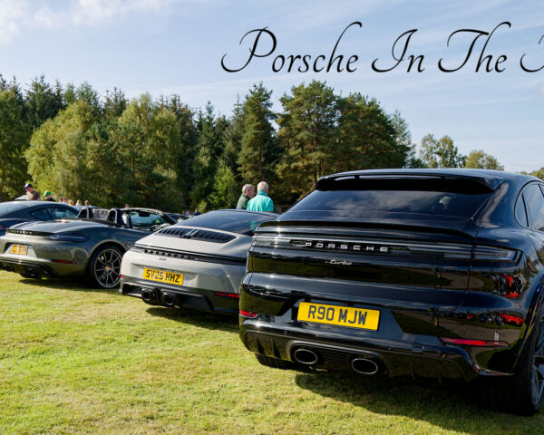Porsche in the Park
